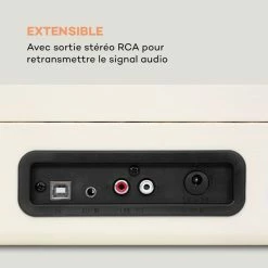 Auna Multimedia Peggy Sue Platine Vinyle Rétro -Multimedia Soldes Boutique 10031390 fr 0003 logo