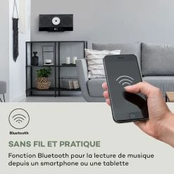 Auna Multimedia Silver Star Swing Chaîne Stéréo Verticale -Multimedia Soldes Boutique 10038262 fr 0004 logo