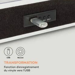 Auna Multimedia Platine Vinyle TT-Classic Plus 12 Auna Multimedia Platine Vinyle TT-Classic Plus -Multimedia Soldes Boutique 10038693 fr 0005 logo