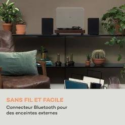 Auna Multimedia Platine Vinyle TT-Classic Light -Multimedia Soldes Boutique 10038898 fr 0003 logo