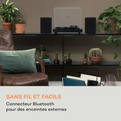 Auna Multimedia Platine Vinyle TT-Classic Light -Multimedia Soldes Boutique 10038899 fr 0003 logo